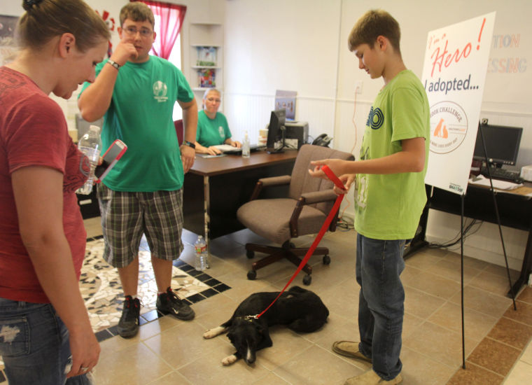 Pet Adoptions